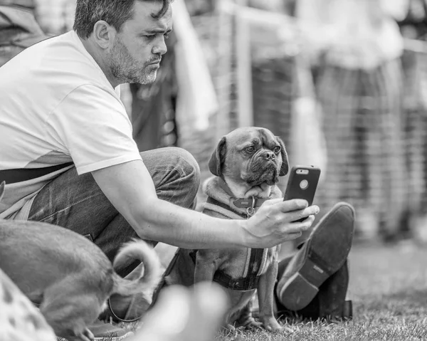 Мужчина Делает Селфи Своей Собакой Парке Выставке Собак — стоковое фото