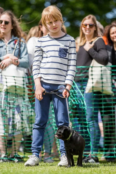 Мальчик Своей Собакой Парке Выставке Собак — стоковое фото