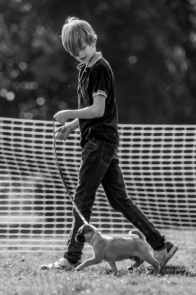 Menino Com Seu Cachorro Parque Dog Show — Fotografia de Stock