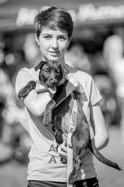 Молодая Девушка Спасательной Собакой Парке Выставке Собак — стоковое фото