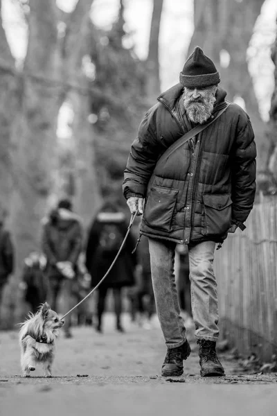 Старик Выгуливает Собаку Парке Выставке Собак — стоковое фото