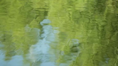 Dağ nehir taşları üzerine akan su. Orman. Sıçramak.