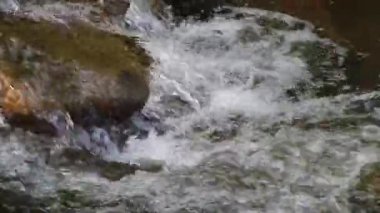Dağ nehir taşları üzerine akan su. Orman. Sıçramak.