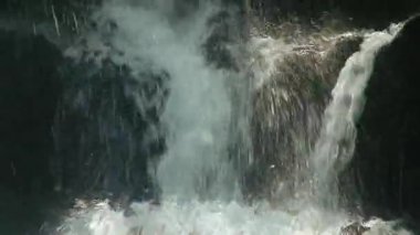 Dağ nehir taşları üzerine akan su. Orman. Sıçramak.