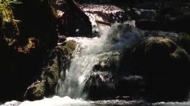 Dağ nehir taşları üzerine akan su. Orman. Sıçramak.