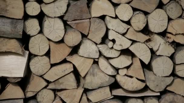 Firewood Background Backyard — Stock Video