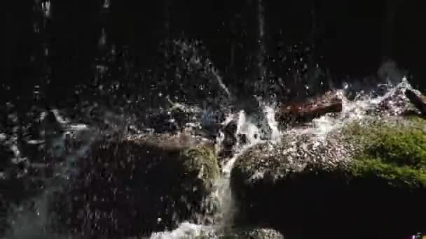 Água Mountain River Fluindo Sobre Pedras Floresta Dispersão — Vídeo de Stock