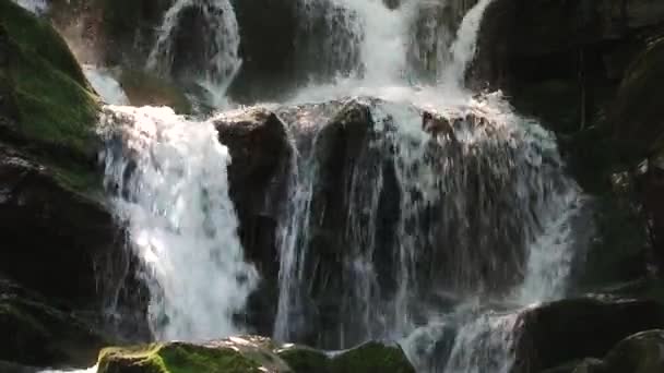 Gebirgsflusswasser Das Auf Den Steinen Fließt Wald Splatter — Stockvideo