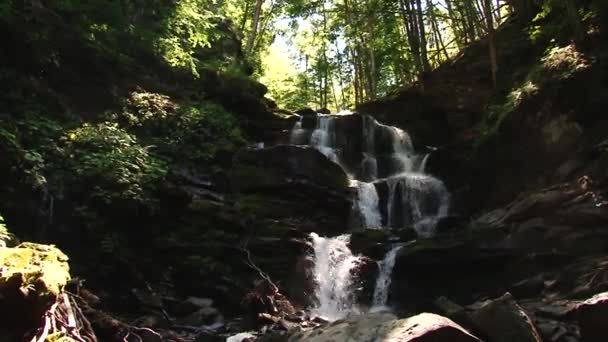 Acqua Del Fiume Montagna Che Scorre Sulle Pietre Foresta Spruzzi — Video Stock