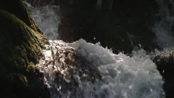 Gebirgsflusswasser Das Auf Den Steinen Fließt Wald Splatter — Stockvideo