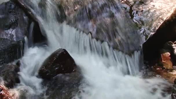 Gebirgsflusswasser Das Auf Den Steinen Fließt Wald Splatter — Stockvideo