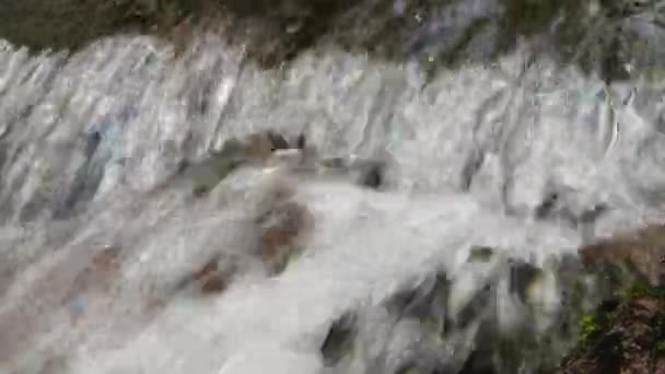 Dağ Nehir Taşları Üzerine Akan Orman Sıçramak — Stok video