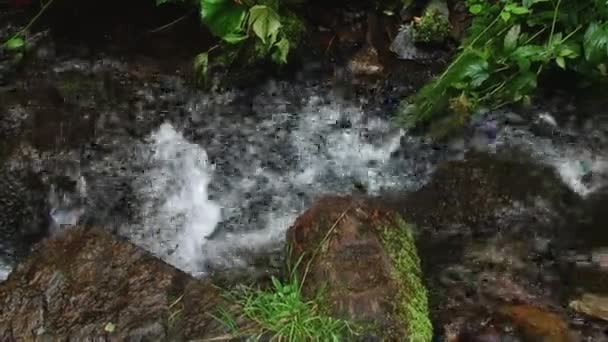 Dağ Nehir Taşları Üzerine Akan Orman Sıçramak — Stok video