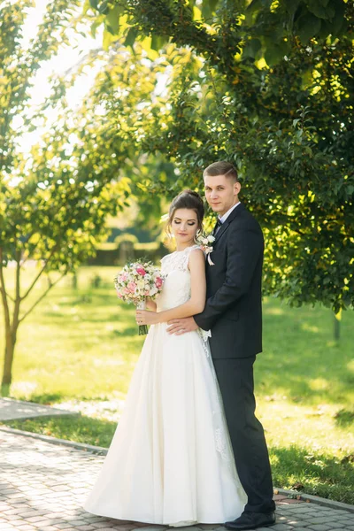 Güzel yeni evliler birbirlerine hayran Park'ta yürüyordunuz