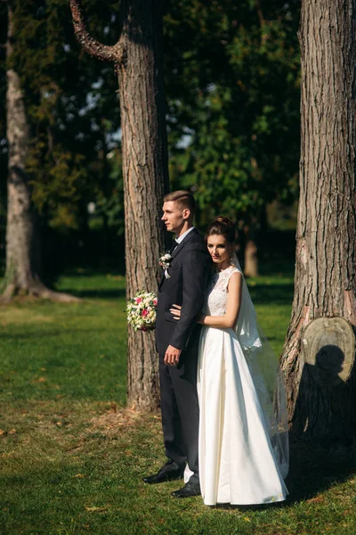 Felice Sposa Sposo Dopo Cerimonia Nozze — Foto Stock