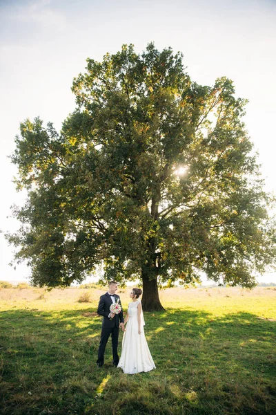 Stilvolles Brautpaar Das Hochzeitstag Mit Blumenstrauß Auf Dem Feld Spaziert — Stockfoto