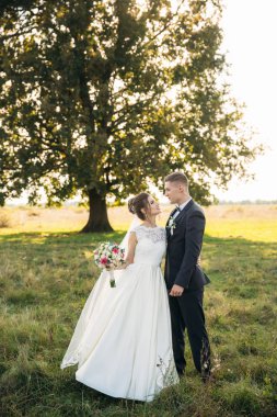 Komik birkaç büyük ağaç arka planda.