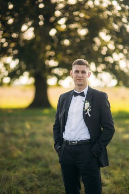 Damat papyon ayarlar. Yakışıklı adam alan büyük ağaç arka planda ortasında ayakta.