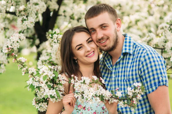 Junges Paar küsst sich im Frühlingsblüher Apfelbaumpark — Stockfoto