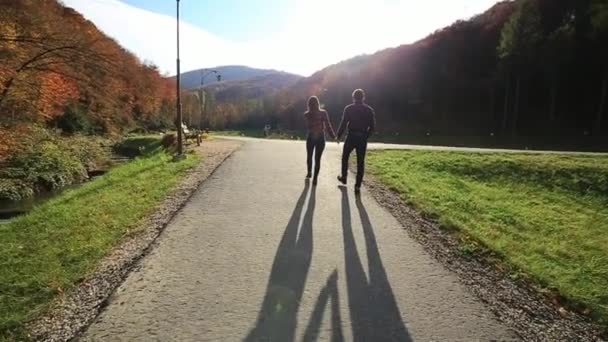 Sevgi dolu bir çift sonbaharda parkta yürüyor. Güneşli bir sonbahar gününde bir aşk hikayesi. ağır çekim — Stok video