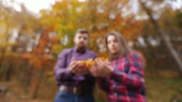 Un couple aimant se jette les uns aux autres feuilles. au ralenti — Video