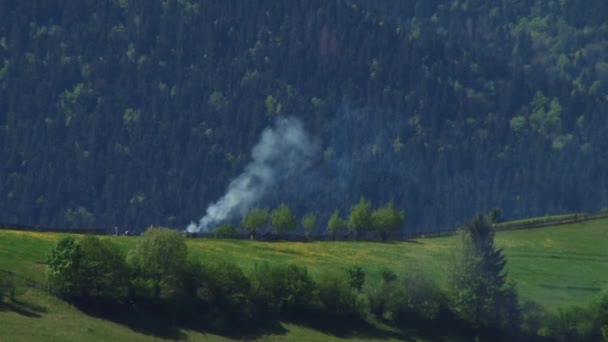 Mooie bomen en bloemen op de achtergrond van bergen — Stockvideo