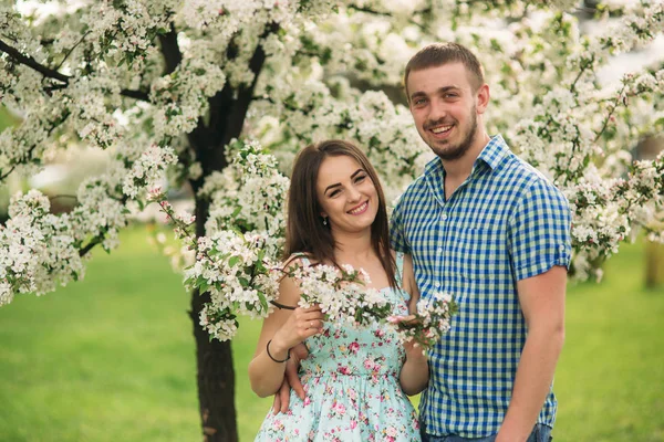Nuori rakastettu pari lepää kukoistavassa puutarhassa. valkoiset kukkivat puut — kuvapankkivalokuva