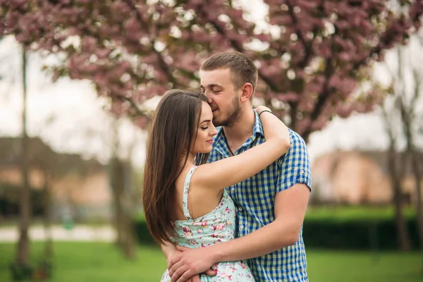 Pár líbání v čka květy na jaře — Stock fotografie