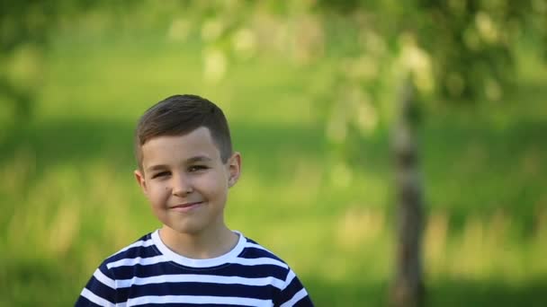 Un niño pequeño con una camiseta a rayas sonríe y se alegra. — Vídeos de Stock