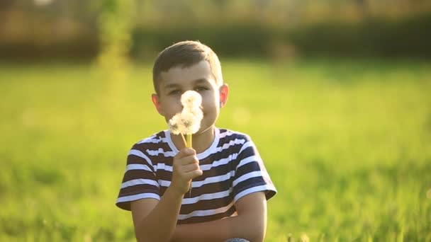 Kleiner Junge im gestreiften T-Shirt, der Löwenzahn bläst. Frühling, sonniges Wetter — Stockvideo