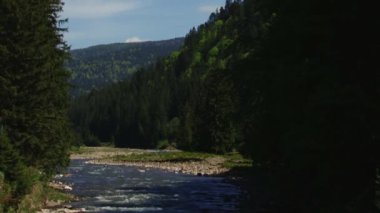 ormanda güzel nehir