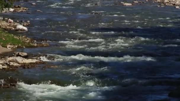 Spring river flowing between the rocks — Stock Video