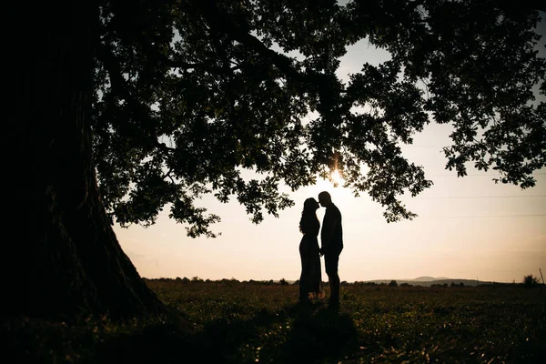 Silhouet Van Mooie Paar Zonsondergang — Stockfoto