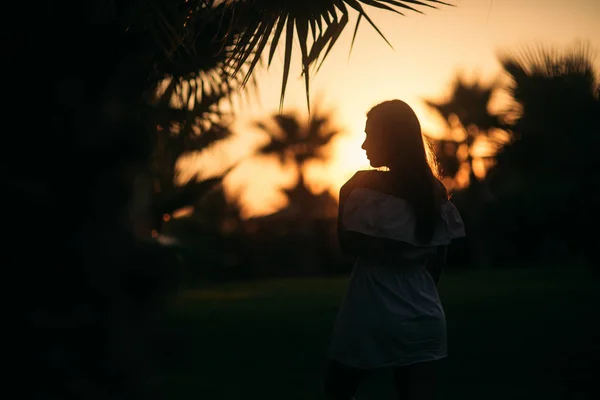 Silhouet van charmante dame in de buurt van de palm — Stockfoto