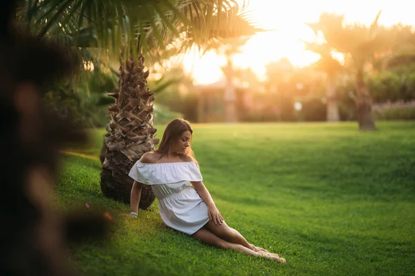 Gyönyörű barna ül a fűben közelében a palm — Stock Fotó