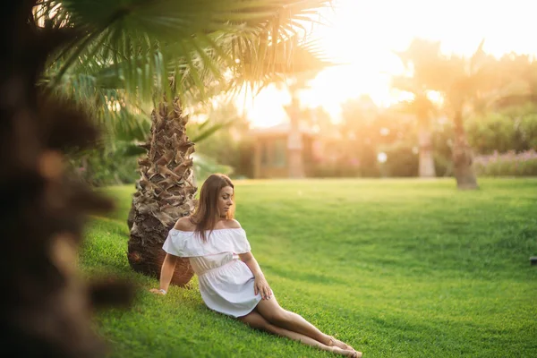 Gyönyörű barna ül a fűben közelében a palm — Stock Fotó