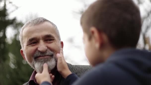 Vnuk se dotýká krásné vousy svého dědečka — Stock video