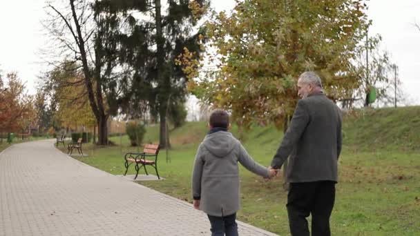 Дедушка и его внук проводят время вместе в парке. Они гуляют по парку и радуются — стоковое видео