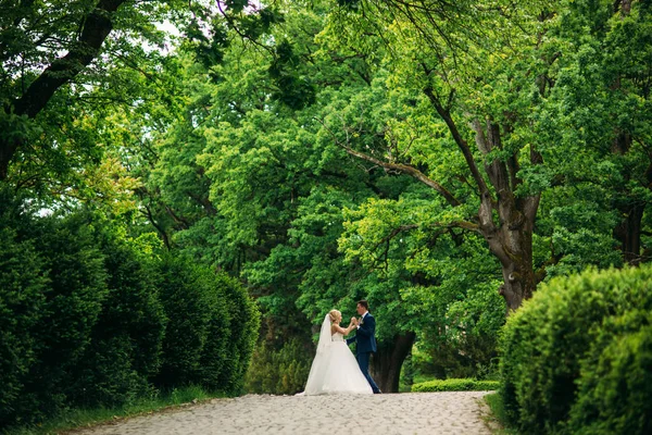 Bella coppia di nozze a piedi nel parco. Sposi novelli felici — Foto Stock