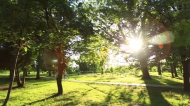 Parkta bisiklet sürme sırasında çıkan genç sevgi dolu çiftin