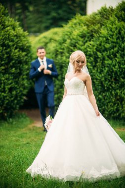 Güzel düğün çifti Park'ta yürüyordunuz. Mutlu yeni evliler