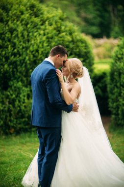 Güzel düğün çifti Park'ta yürüyordunuz. Mutlu yeni evliler