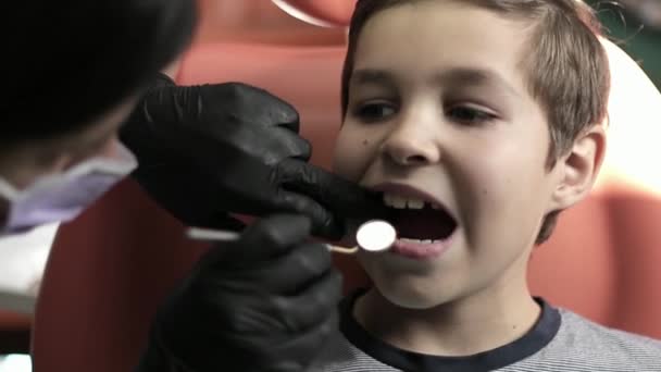 치과 의사를 방문 하는 소년, 여자 의사 취급 자녀의 치아 — 비디오