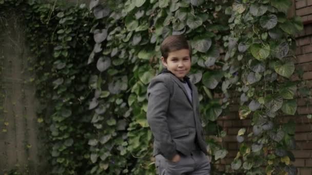 Cute little boy poses to camera. Background of ivy — Stock Video