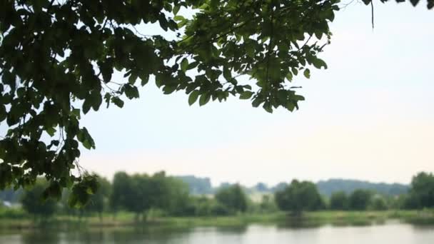 Beau couple de jeunes assis sur la jetée près du lac. Ambiance romantique — Video