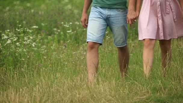 Пара тримає руки і ходить по полю — стокове відео