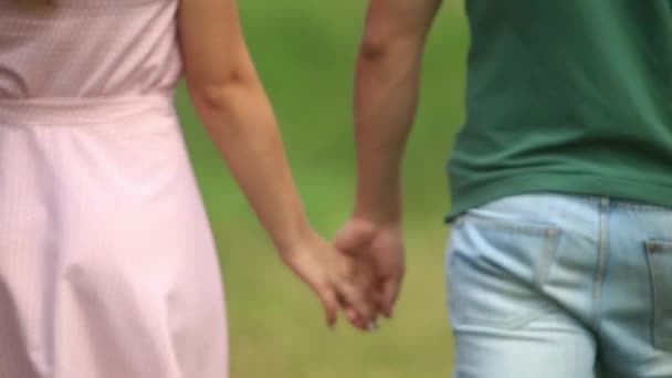 Close up hand of couple. walking in field. romantic atmosphere — Stock Video