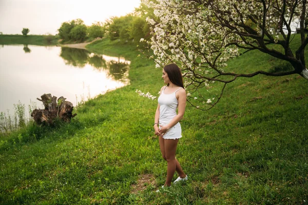 Belle fille près des arbres en fleurs. printemps temps — Photo