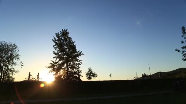 Silhouette di coppia Loving in bicicletta lungo il lungomare — Video Stock