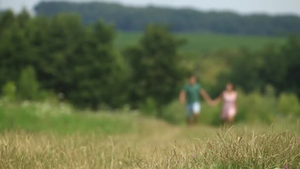 Мужчина и женщина бегают вместе в поле. Романтическая атмосфера — стоковое видео